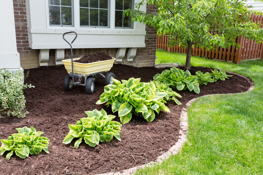Adding Top Soil to Your Lawn