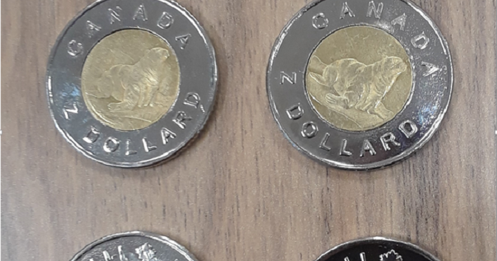 Police investigate counterfeit $2 coins used at store in eastern Ontario