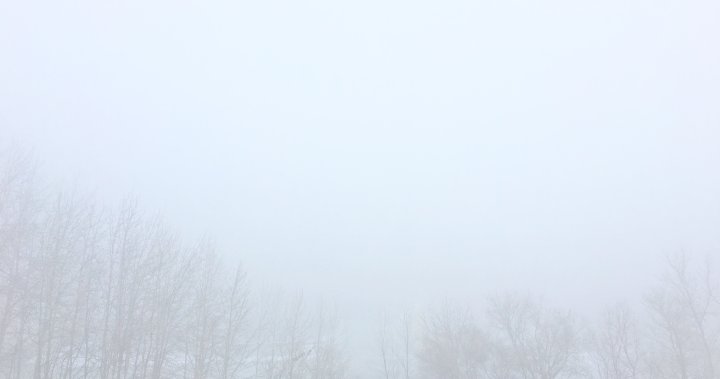 Foggy morning prompts advisory for London, Ont. region – London