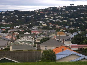 Homes in Wellington, New Zealand.